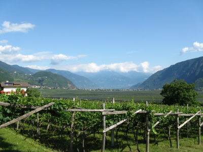 Bild 14