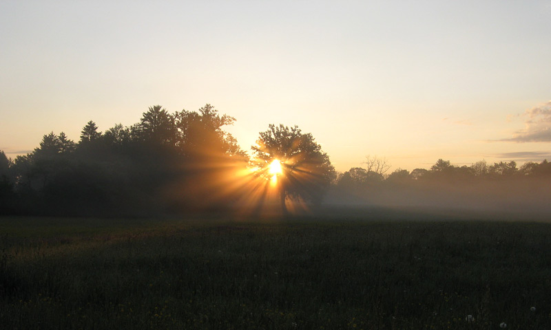 sunrise