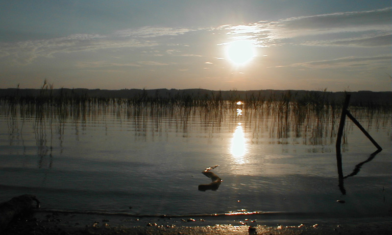 Sunrise