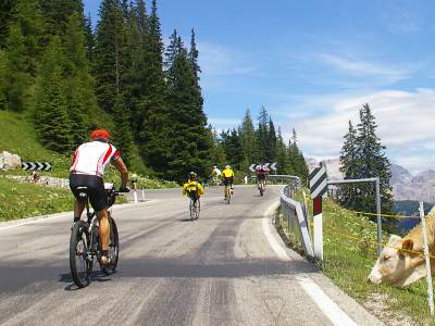 Bild 14
