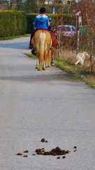 typische Reiter auf einem Radweg